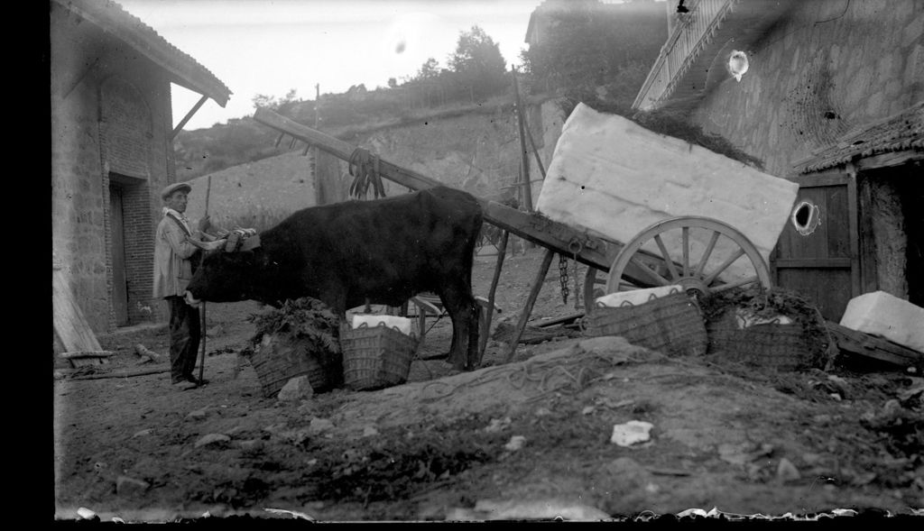 AGRICULTOR DESMONTANDO LA YUNTA.