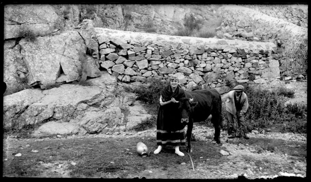 SUJETANDO UNA VACA.