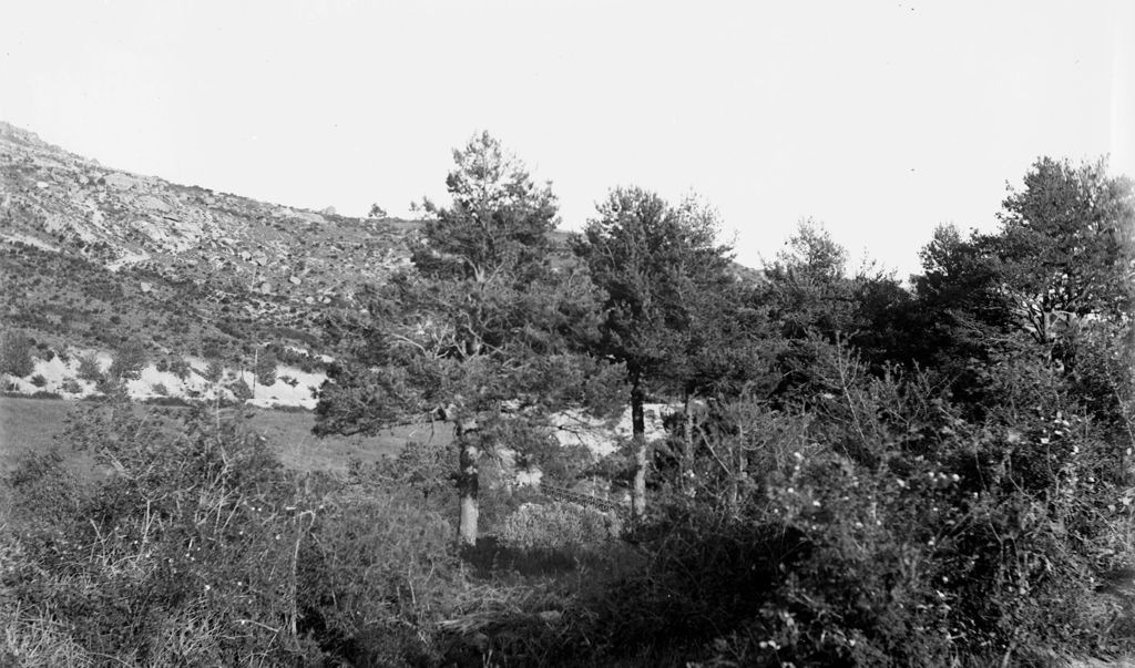 PAISAJE CAMPESTRE DE LA SIERRA.