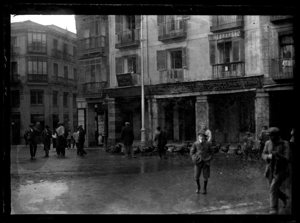 PAVOS EN LA PLAZA DE LA PROVINCIA EN MADRID.