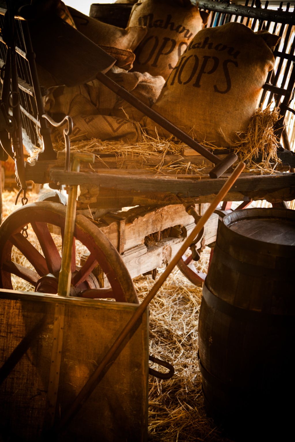 BODEGON RECOGIDA DE CEBADA.